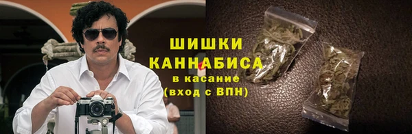 PSILOCYBIN Балабаново