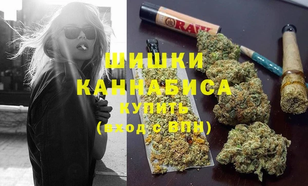 индика Балахна