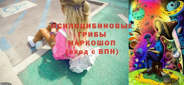 PSILOCYBIN Балабаново