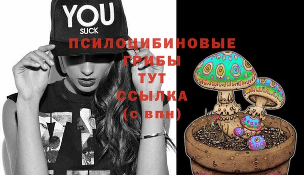 PSILOCYBIN Балабаново
