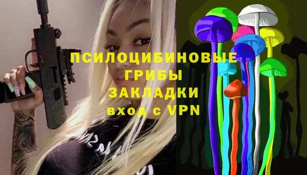 индика Балахна