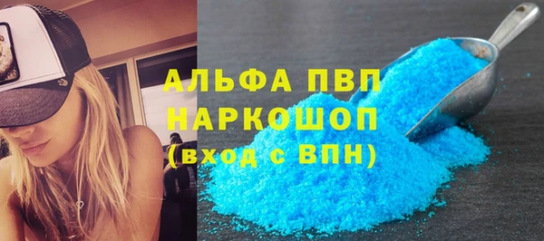 индика Балахна