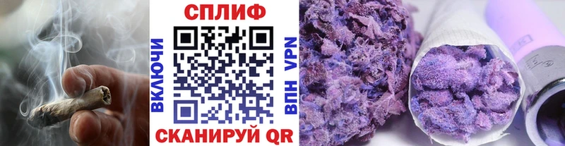 Бошки Шишки SATIVA & INDICA  где купить наркоту  Верхняя Пышма 